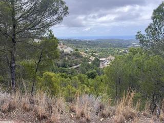 Terreny residencial a Callosa d´en Sarrià. Parcelas situadas en santa clara en callosa den sarria.