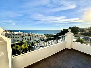 Penthouse in Currica