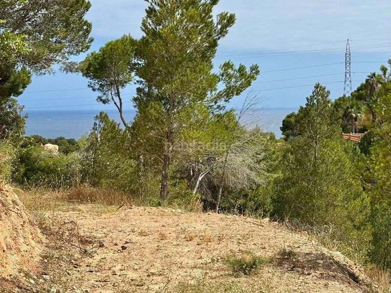 Foto b68df2ee-6561-48bc-82f7-6472059fd0a5. Terreny residencial a Altea la vella Altea