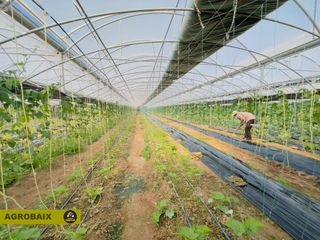 Finca rústica en Vilamarina. Con invernadero a estrenar