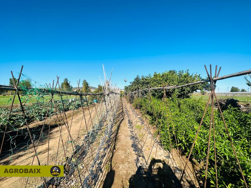 Foto 1fa524d8-16d9-4562-852e-216ff0e7ed3a. Finca rústica a Vinyets-Molí Vell Sant Boi de Llobregat