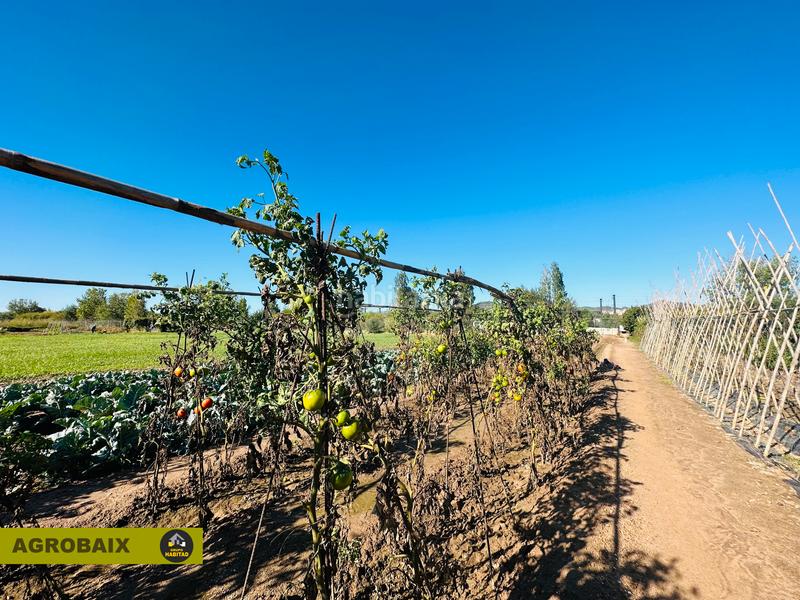 Foto 46f1d5d5-2ed8-41d0-9841-e0b21bb680f1. Finca rústica a Vinyets-Molí Vell Sant Boi de Llobregat