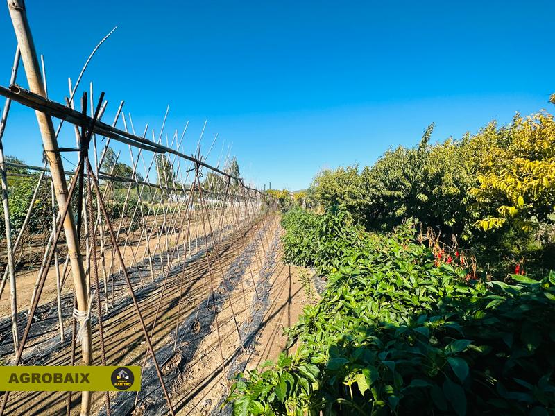 Foto 4b3fabb2-fd13-429b-afc3-79ef6561e366. Finca rústica a Vinyets-Molí Vell Sant Boi de Llobregat