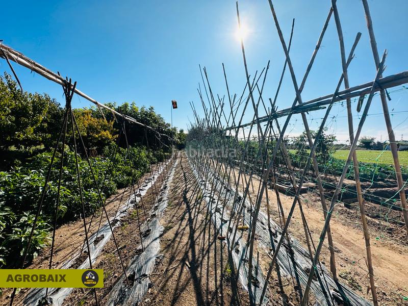 Foto c1508c97-4109-471e-aa1a-e3cc9629e72a. Finca rústica a Vinyets-Molí Vell Sant Boi de Llobregat
