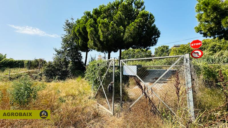 Foto 116e0f95-1615-4a46-8d24-c06f10493ab9. Finca rústica extraordinaria ubicación en Ciutat Cooperativa-Molí Nou Sant Boi de Llobregat