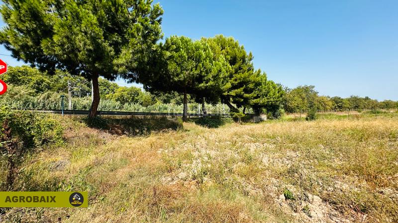 Foto 21c689d2-e070-44d6-8600-40c9dda62909. Finca rústica extraordinaria ubicación en Ciutat Cooperativa-Molí Nou Sant Boi de Llobregat