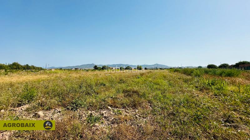 Foto 2b7b46cc-a65c-4862-b7b3-1b4da31905ae. Finca rústica extraordinaria ubicación en Ciutat Cooperativa-Molí Nou Sant Boi de Llobregat