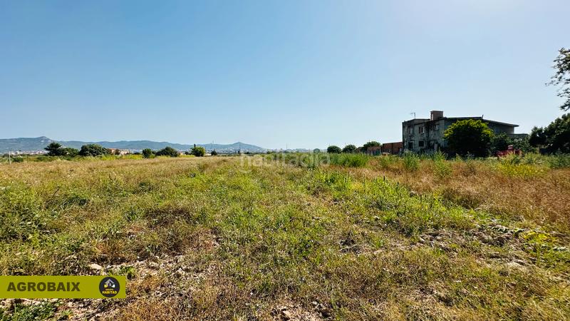 Foto 3cac9c38-c040-4da0-9ad7-58360940d7ff. Finca rústica extraordinaria ubicación en Ciutat Cooperativa-Molí Nou Sant Boi de Llobregat