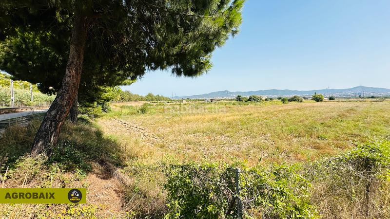 Foto 409a2ca1-0c1a-44b1-b563-ae79a725f3f7. Finca rústica extraordinaria ubicación en Ciutat Cooperativa-Molí Nou Sant Boi de Llobregat