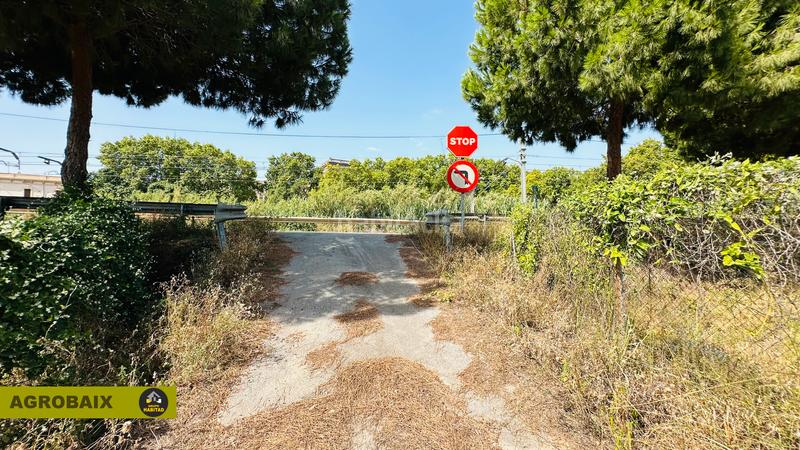 Foto 450d0531-9ca8-4ba5-8898-da38cc91a532. Finca rústica extraordinaria ubicación en Ciutat Cooperativa-Molí Nou Sant Boi de Llobregat