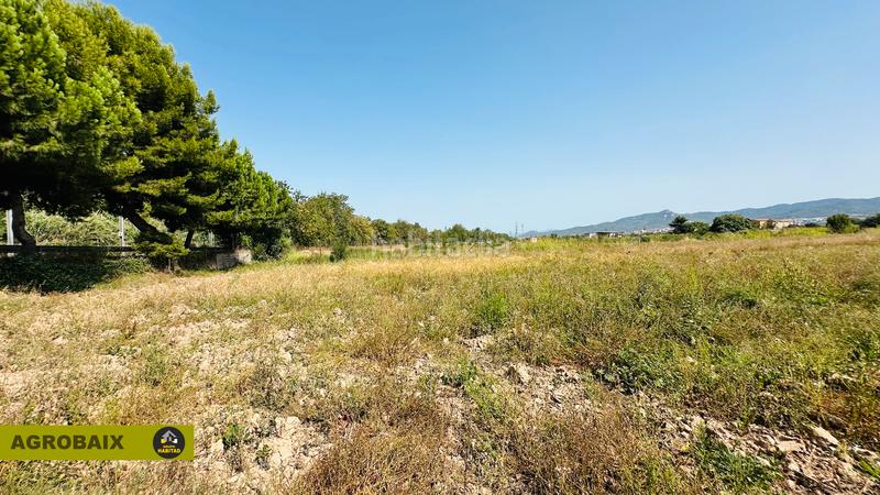 Foto 88997576-ec1f-47ce-a34a-42ce3deae7a9. Finca rústica extraordinaria ubicación en Ciutat Cooperativa-Molí Nou Sant Boi de Llobregat