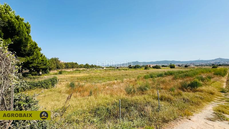 Foto a02da090-0a59-48d3-9764-236200ac1d03. Finca rústica extraordinaria ubicación en Ciutat Cooperativa-Molí Nou Sant Boi de Llobregat