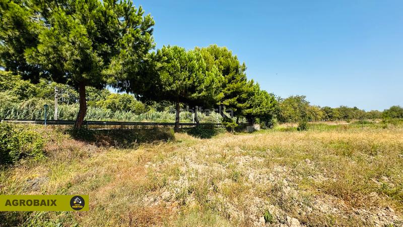 Foto ba273e05-afd8-4f1e-905b-a07bdca12711. Finca rústica extraordinaria ubicación en Ciutat Cooperativa-Molí Nou Sant Boi de Llobregat