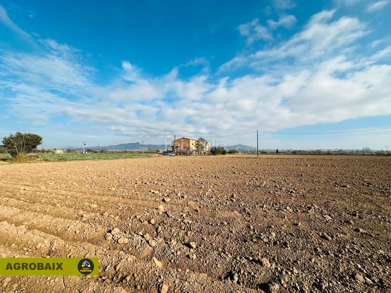 Foto 3cc14d67-59a8-4008-8518-a2be970d91bb. Landgut in Ciutat Cooperativa-Molí Nou Sant Boi de Llobregat