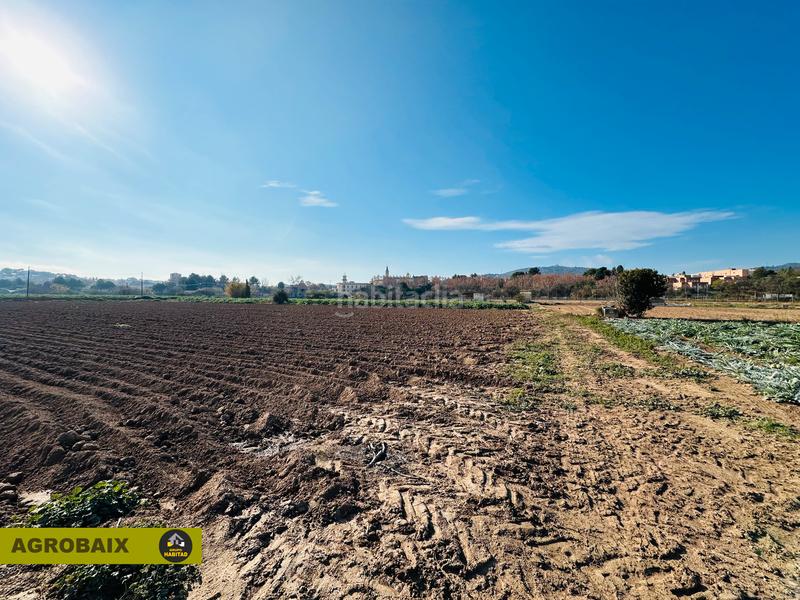 Foto 14d585eb-c3d4-4b38-8de9-0d6a1a8368bf. Finca rústica a Ciutat Cooperativa-Molí Nou Sant Boi de Llobregat