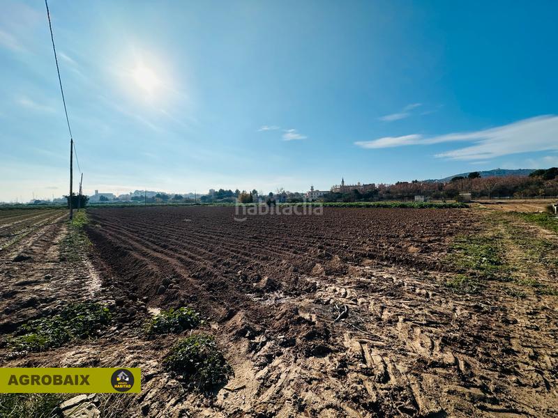 Foto f34180fb-5954-4727-91d3-63d4b097e5e1. Finca rústica a Ciutat Cooperativa-Molí Nou Sant Boi de Llobregat