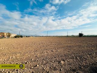 Rural plot in Ciutat Cooperativa-Molí Nou
