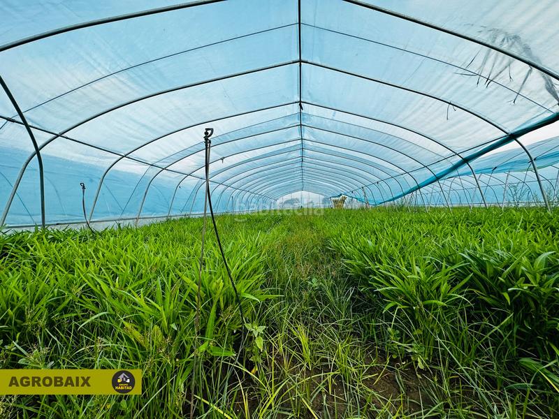 Foto 0873e7c6-5c40-4fcc-ab26-bdbfda57bfc2. Finca rústica excelente ubicacion en Gava Mar Gavà