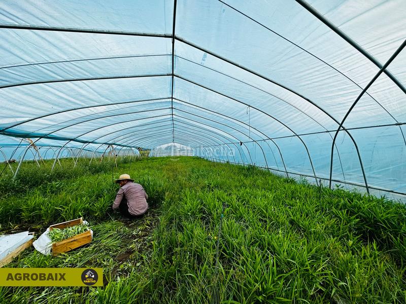 Foto 19089c8e-1618-43c2-ab3a-67158dedba20. Finca rústica excelente ubicacion en Gava Mar Gavà