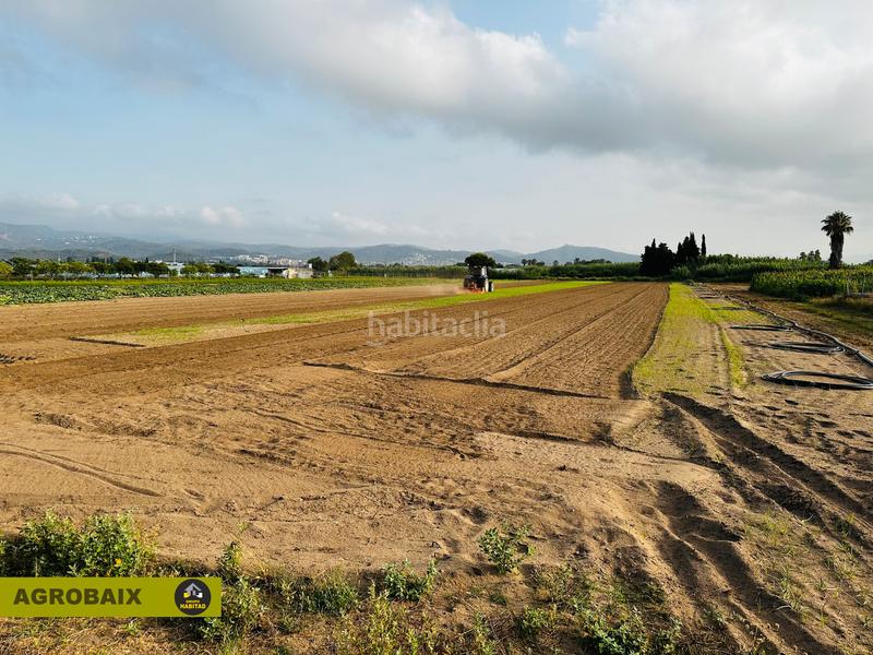 Foto 20d2a7d3-d3f5-41c8-a2b1-bd1ef9eaf0d0. Finca rústica excelente ubicacion en Gava Mar Gavà