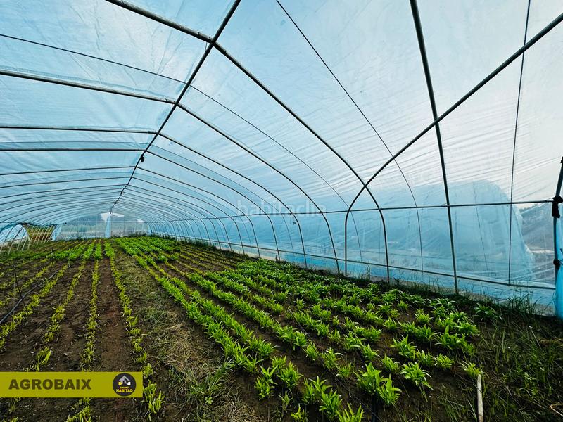 Foto 2e3fd300-9a59-455d-ba3e-313abcf0a0e2. Finca rústica excelente ubicacion en Gava Mar Gavà