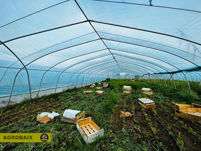 Foto 2f174473-4e75-49ff-a01a-1a72bc989023. Finca rústica excelente ubicacion en Gava Mar Gavà