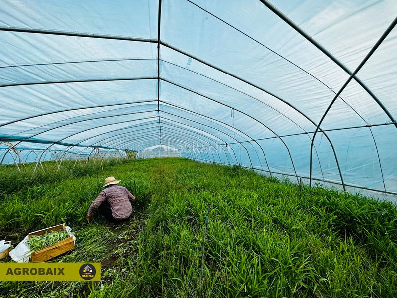 Foto 314f5473-fd26-4da2-8ea8-d794bc1a3b61. Finca rústica excelente ubicacion en Gava Mar Gavà