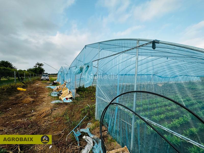 Foto 348d0904-ed30-4f2e-96b4-424d301fe944. Finca rústica excelente ubicacion en Gava Mar Gavà