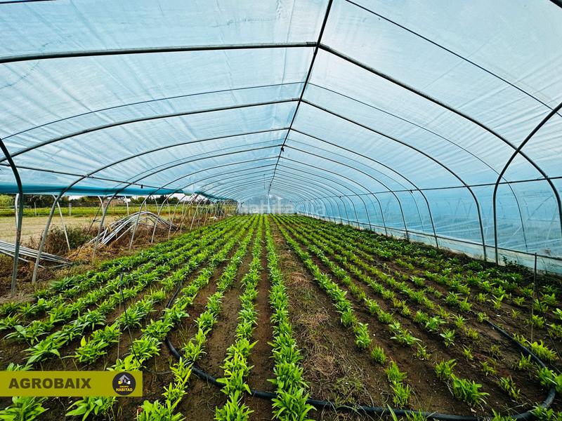 Foto 34f9bdd9-25d0-4abc-972e-4a221200578b. Finca rústica excelente ubicacion en Gava Mar Gavà