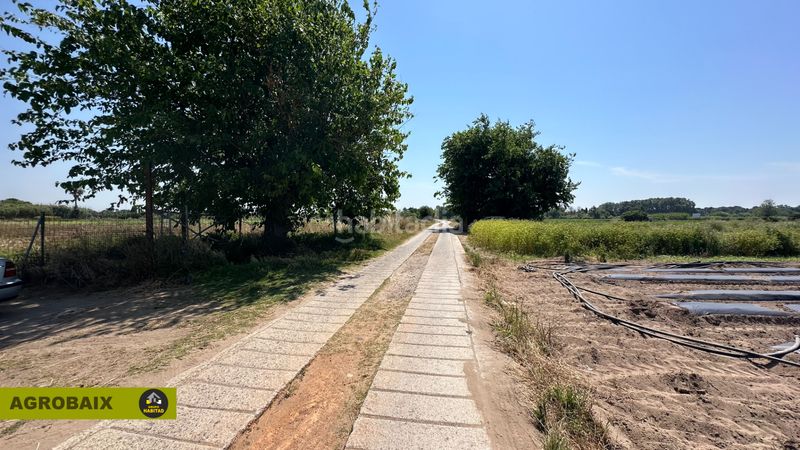Foto 4a6fe73a-ac52-4e8d-8115-60e56830f30a. Finca rústica a Gava Mar Gavà