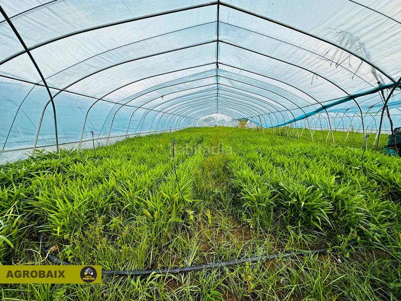 Foto 506945fd-6db6-4803-ae5c-357fbb08ddf9. Finca rústica excelente ubicacion en Gava Mar Gavà