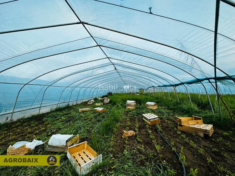 Foto 5c6e9f3a-f276-486b-bd69-880039d2a925. Finca rústica excelente ubicacion en Gava Mar Gavà