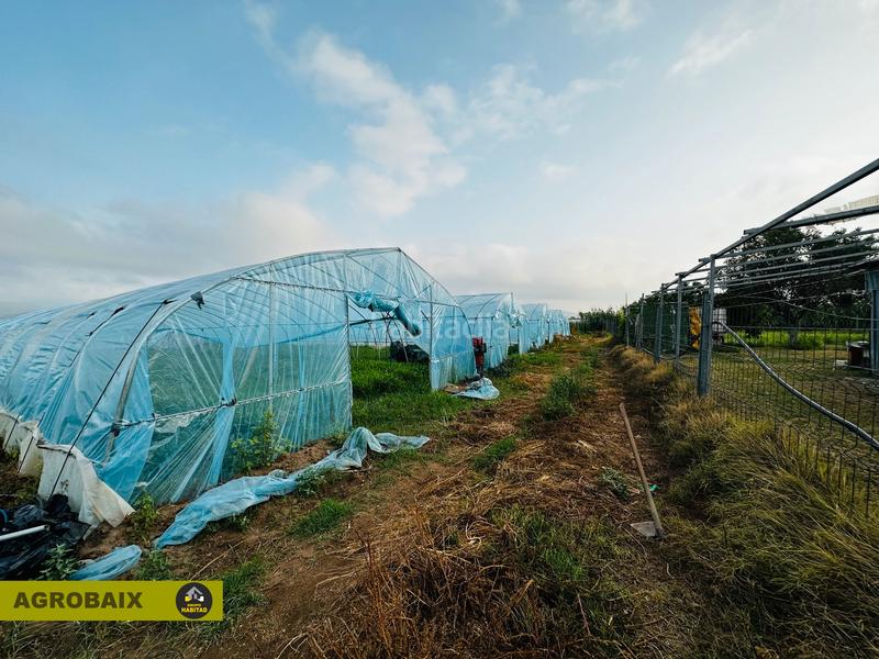 Foto 5fa74f56-1bf6-4837-94d0-55f35d356144. Finca rústica excelente ubicacion en Gava Mar Gavà