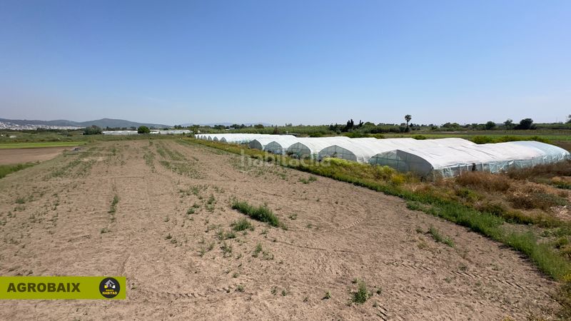 Foto 63fa37c8-5a21-43b3-940c-49122c07e4b1. Finca rústica a Gava Mar Gavà