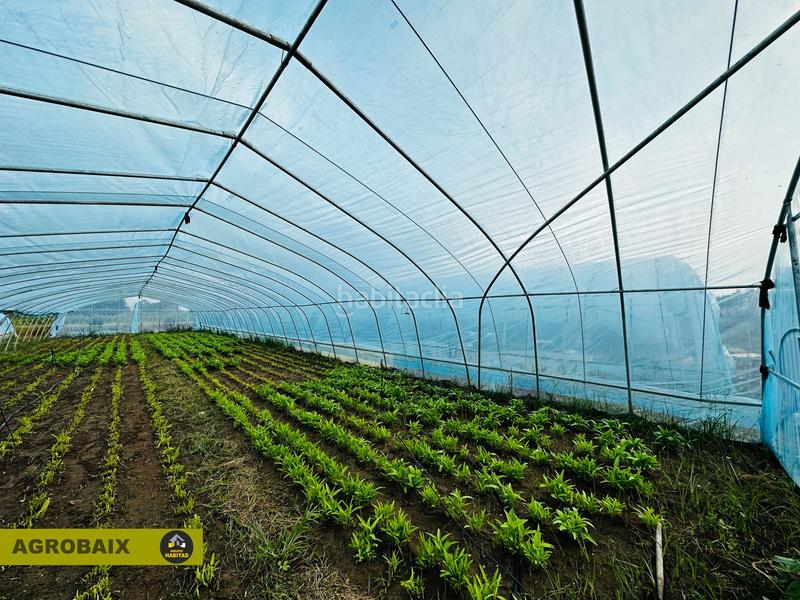 Foto 763c87a4-c690-4313-995e-97371d0f2e4d. Finca rústica excelente ubicacion en Gava Mar Gavà