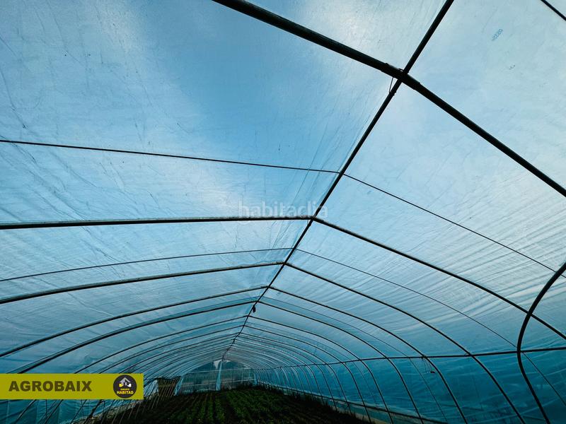 Foto 7b965b3f-f032-43bd-b395-33b61d8f7cb7. Finca rústica excelente ubicacion en Gava Mar Gavà