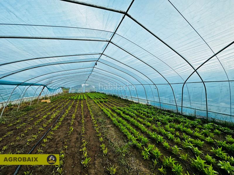 Foto 7c9aa476-7030-4459-88e2-21d0429e654f. Finca rústica excelente ubicacion en Gava Mar Gavà