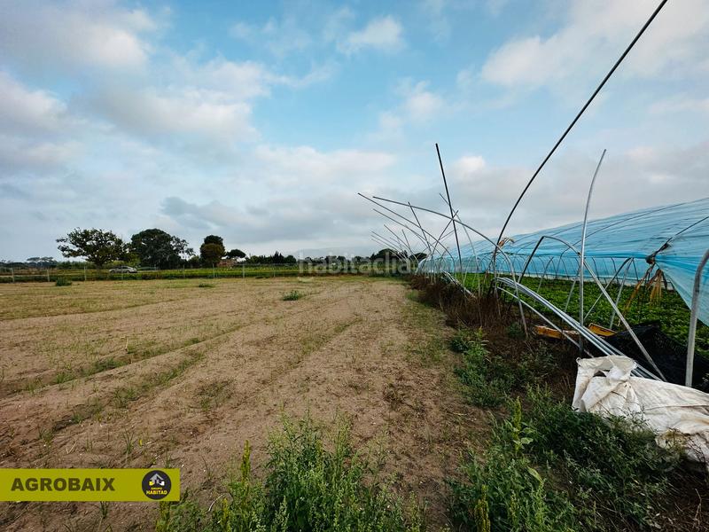 Foto 88855974-97eb-49d3-8100-4eb75fd37fde. Finca rústica excelente ubicacion en Gava Mar Gavà