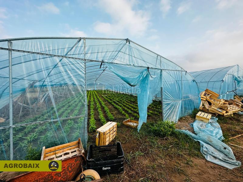 Foto bc2c57ee-5cd7-4c3b-924c-df440b0f0632. Finca rústica excelente ubicacion en Gava Mar Gavà