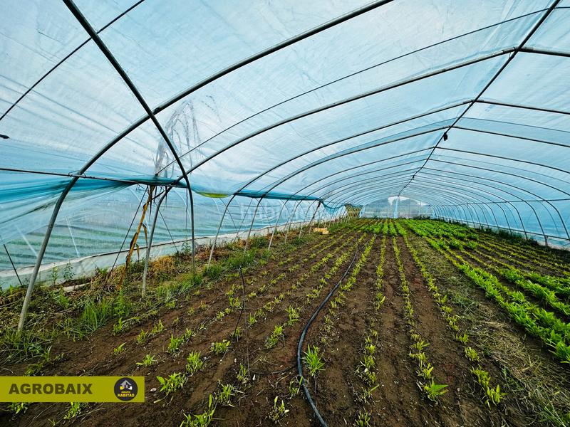 Foto d0b8564f-33fc-407b-bb47-7532bfbb7c25. Finca rústica excelente ubicacion en Gava Mar Gavà