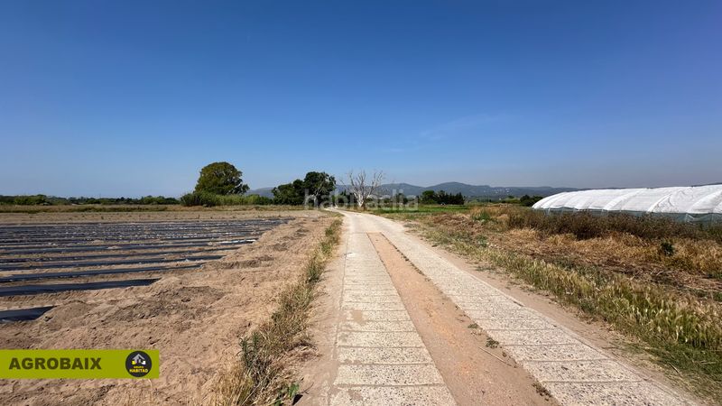 Foto e1f5b5d6-2b65-4faf-bc00-af89937cf37a. Finca rústica a Gava Mar Gavà