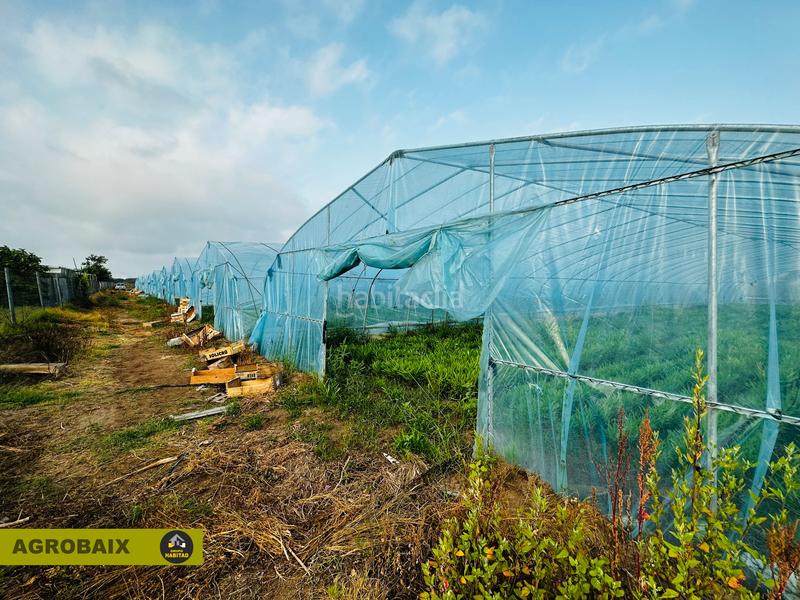 Foto e5e659f8-239f-4730-aa53-f5aa1d659ddd. Finca rústica excelente ubicacion en Gava Mar Gavà