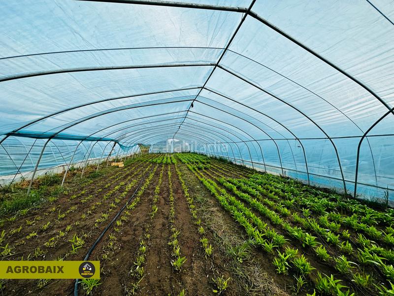 Foto f78e6b46-5a5d-43ce-9537-49b85f663e3f. Finca rústica excelente ubicacion en Gava Mar Gavà