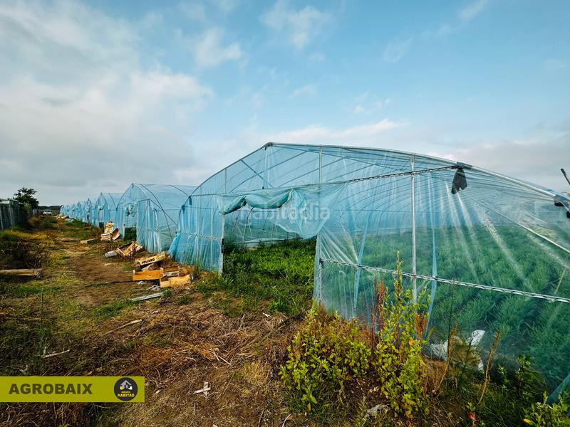 Foto f7dac96d-b745-480a-b3f5-237512c25e97. Finca rústica excelente ubicacion en Gava Mar Gavà