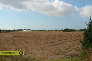 Rural plot in Centre. Terreno de regadío