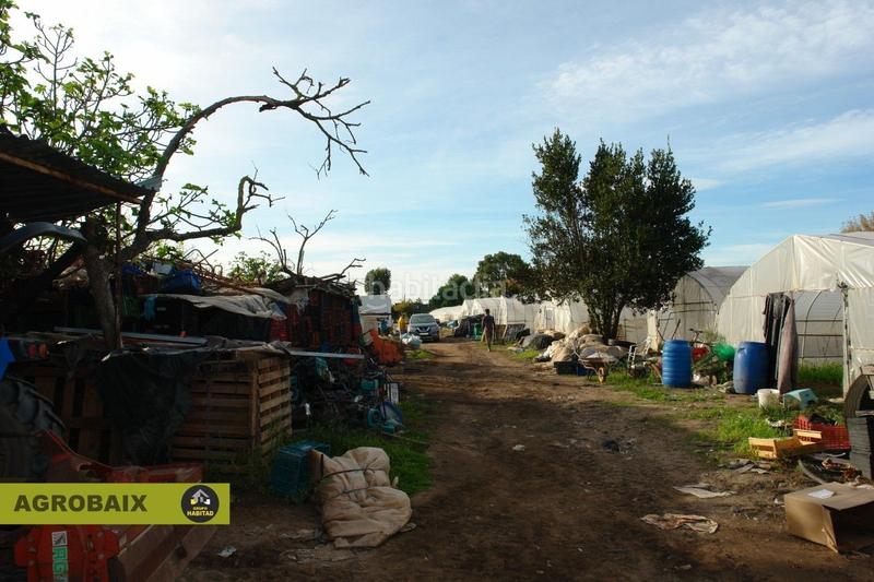 Foto 0d8df596-1ab9-4e32-b02c-b456a3b91d90. Finca rústica con luz de compañía en Passeig Maragall Gavà