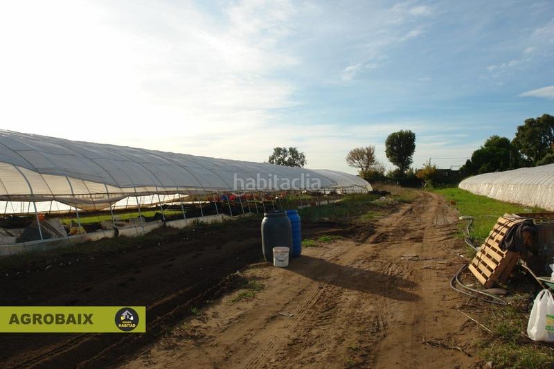 Foto 1642deeb-06c0-4262-9d33-f6d4e8208d8b. Finca rústica con luz de compañía en Passeig Maragall Gavà