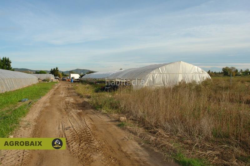 Foto 30492291-b55c-4b0f-979d-1b979f63cb67. Finca rústica con luz de compañía en Passeig Maragall Gavà