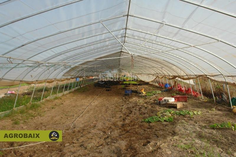 Foto 6dee70a8-0dda-48df-9fa7-3fb011308778. Finca rústica con luz de compañía en Passeig Maragall Gavà