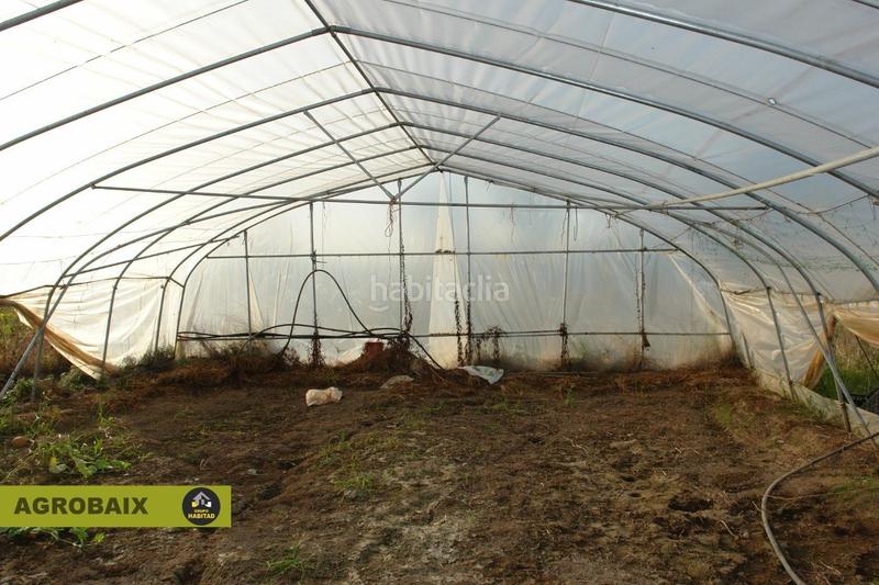 Foto 7318e24e-40a8-42d5-8a32-1dfd873e9155. Finca rústica con luz de compañía en Passeig Maragall Gavà